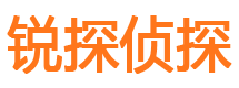 新津侦探公司